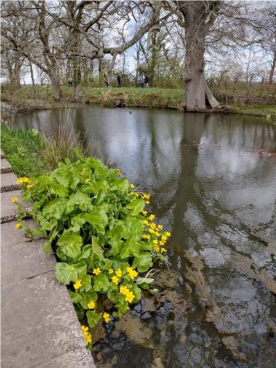 Lake at Sissinghurst in April