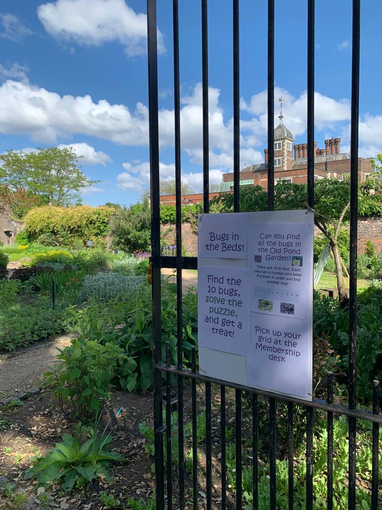 Bugs in the beds trail