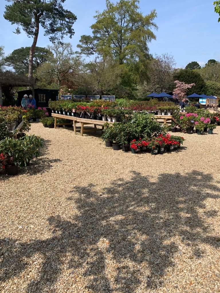 Plant Sale at Exbury Gardens