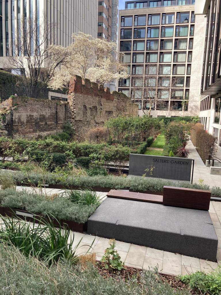 Salters garden with roman wall