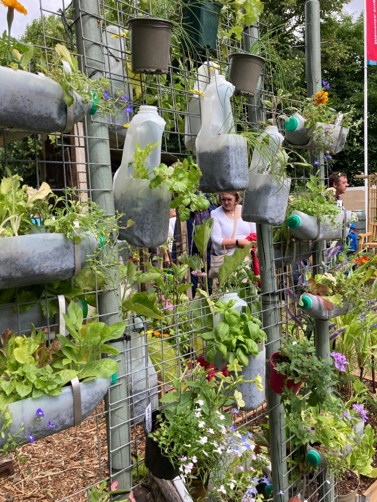 Plastic upcycling at hampton