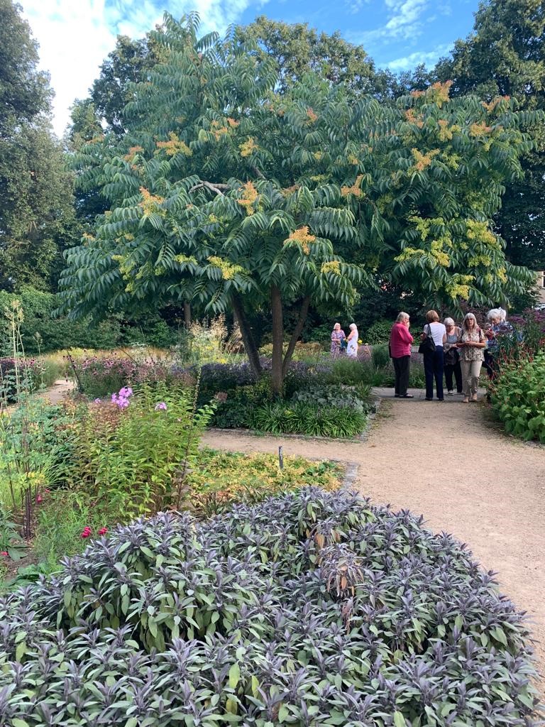 Some members visited the Old Pond Garden to discuss progress.