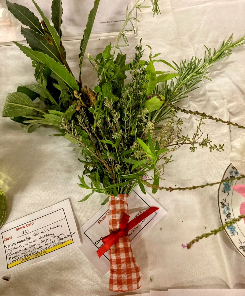 Winner of Class 10: Display of herbs (Ruth Y). Autumn Show 2023