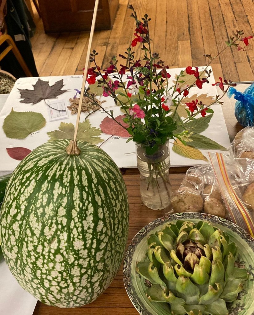 Some of the entries for Class 14: the wildcard, including the winner, Joe's squash. Autumn Show 2023