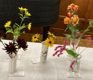 Some entries for Class 1: Vase of flowers (3 stems of 1 cultivar), including Mandy O's winning entry. Autumn Show 2023