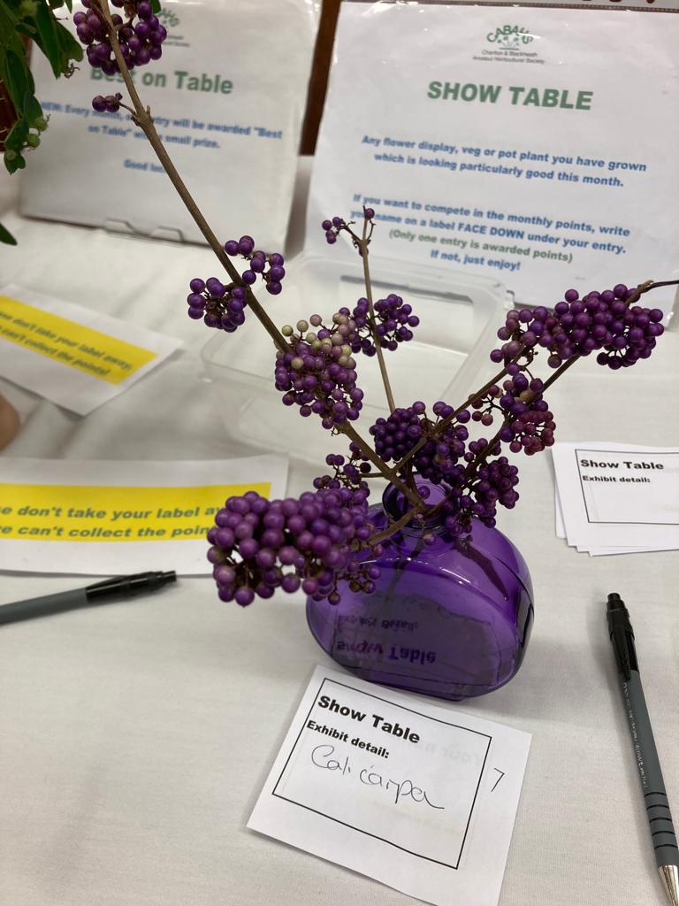 Entry on Show Table October 2023