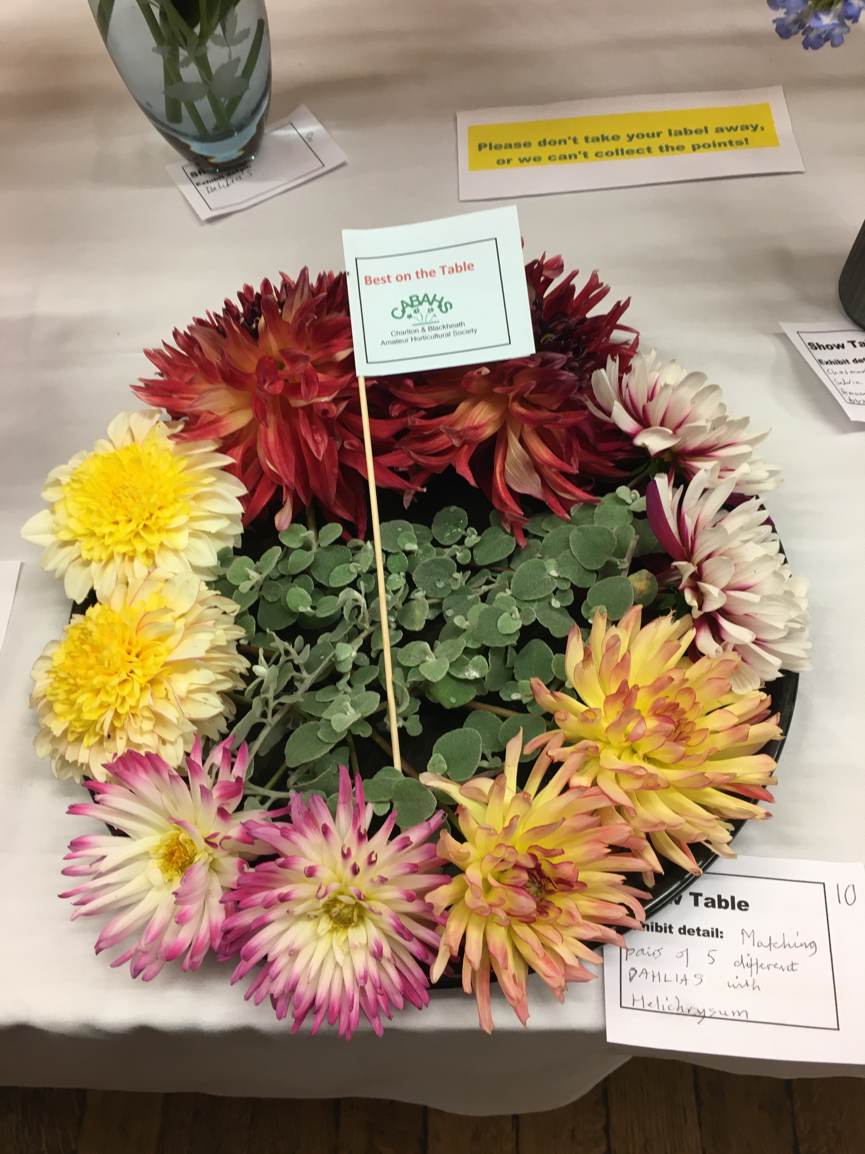 Best on the Show Table October 2023