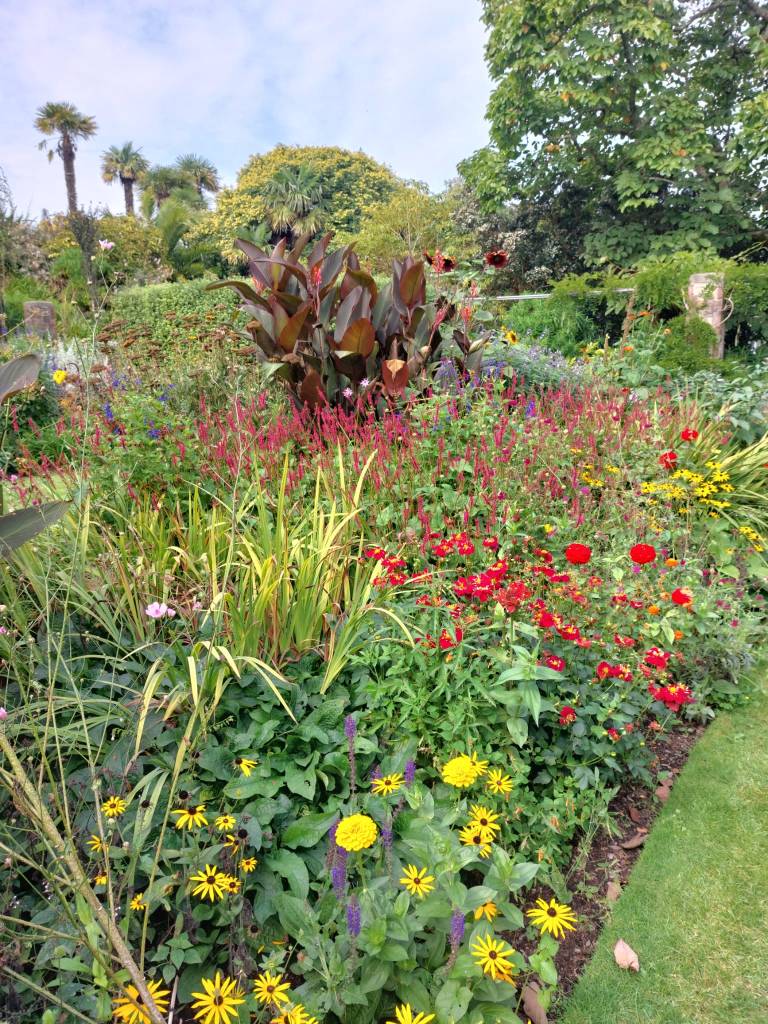 Borders at Overbeck's