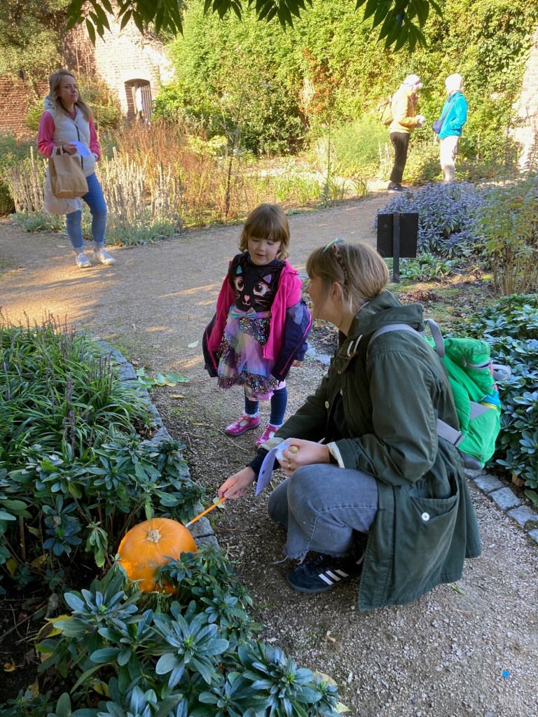 Spotting the pumpkin