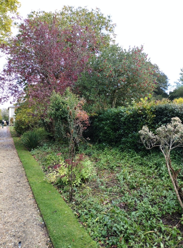 Garden at Down House