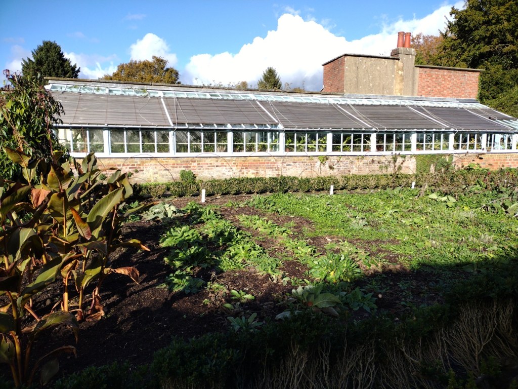 Greenhouse at Down House