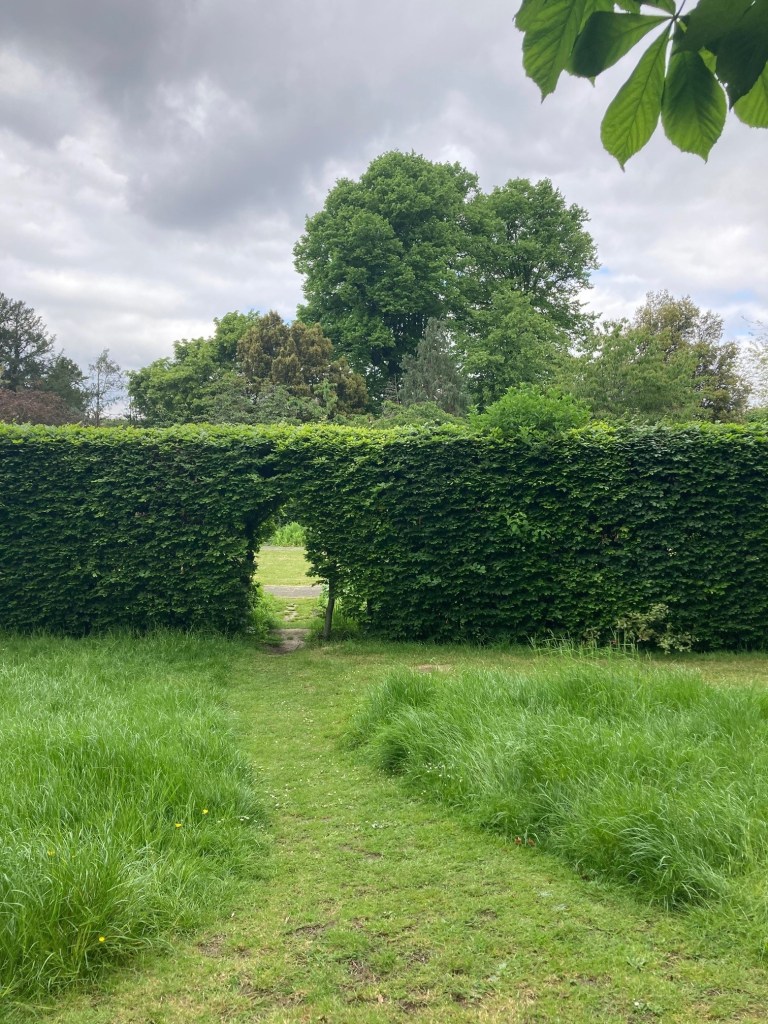 Arch cut in hedge
