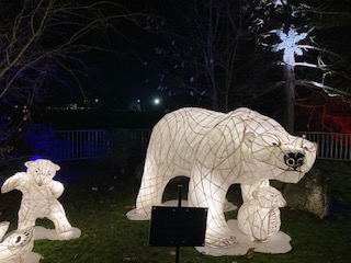 Polar bear and lights