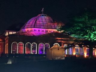 Christmas Lights on glasshouse