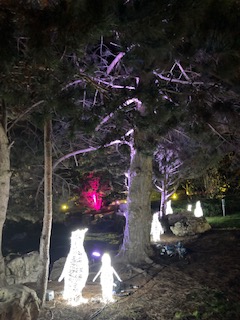 Lights in garden