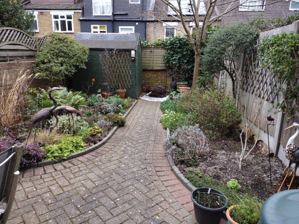 View of Carolyn's garden