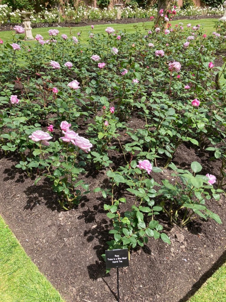 Twice in a Blue Moon