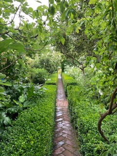 White Garden with clipped borders of box framing brick herringbone pathways