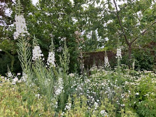 The White Garden at Sissinghurst