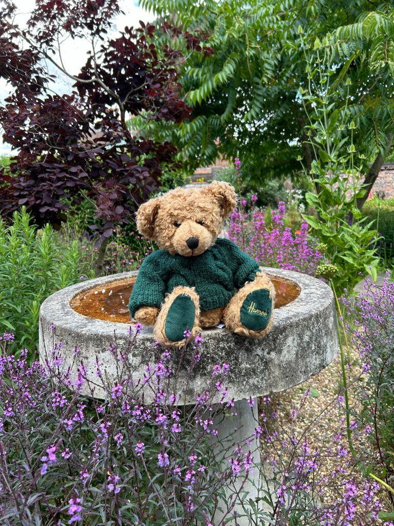 Teddy Bear on bird bath