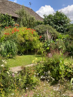 Orange Crocosmia with self-seeded Erigeron in the foreground
