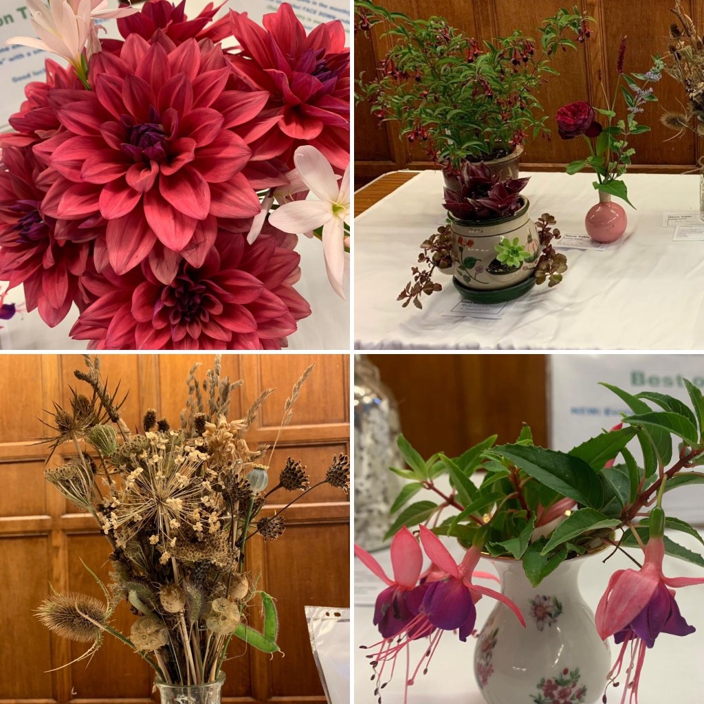 Exhibits on Show Table August 2024