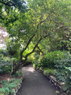 Pathway leading to much more...