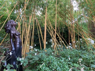 Statue amongst the bamboo and Japanese anemones