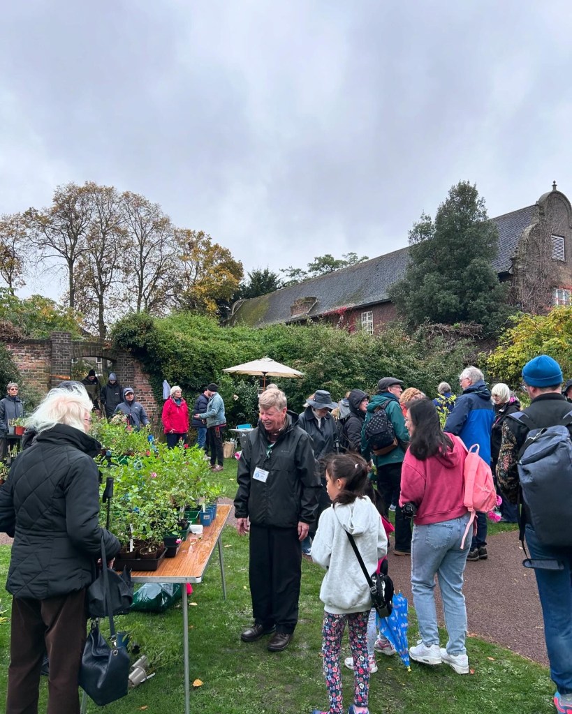 Selling frenzy in the Peace GArden