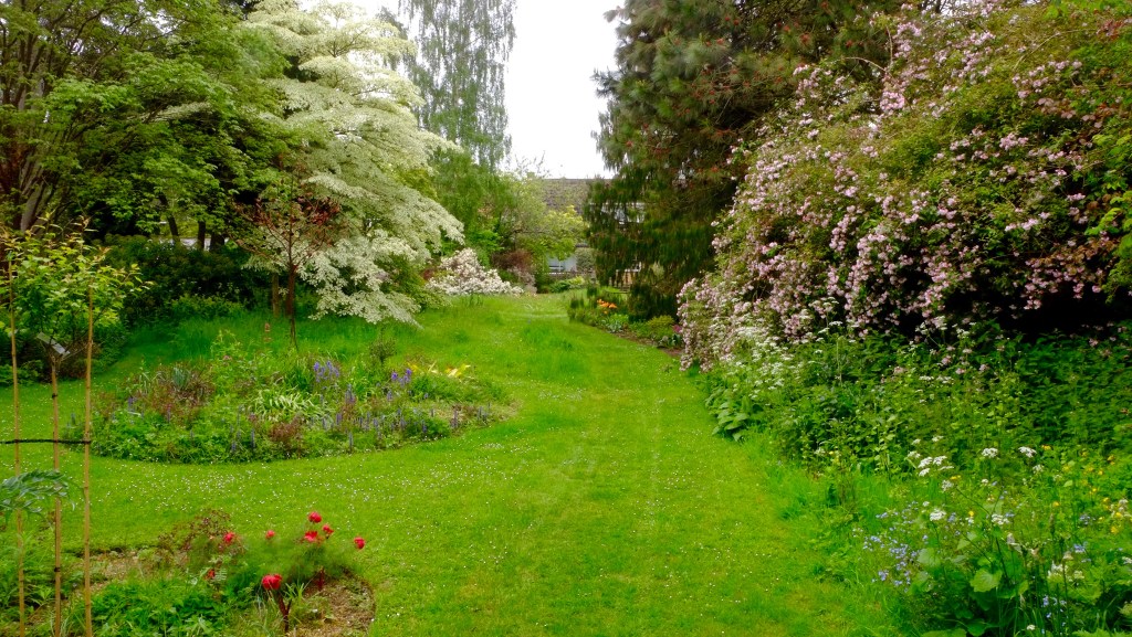 Copton Ash Getting Wild, May 2024