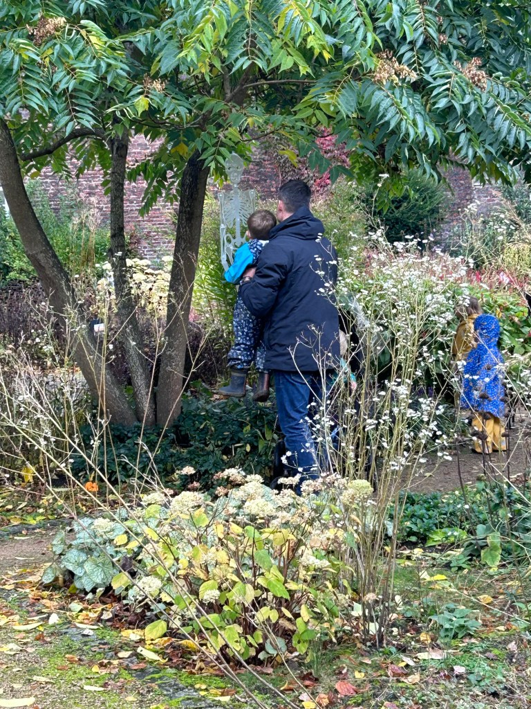 More skeleton fascination
