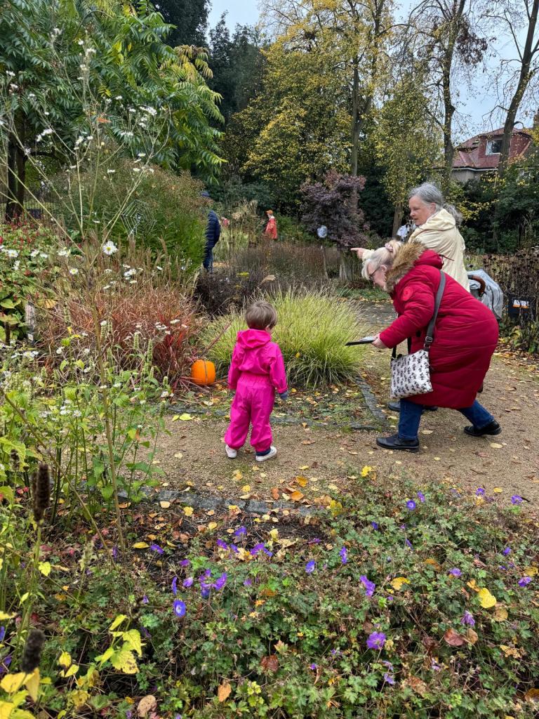 Looking for pumpkins