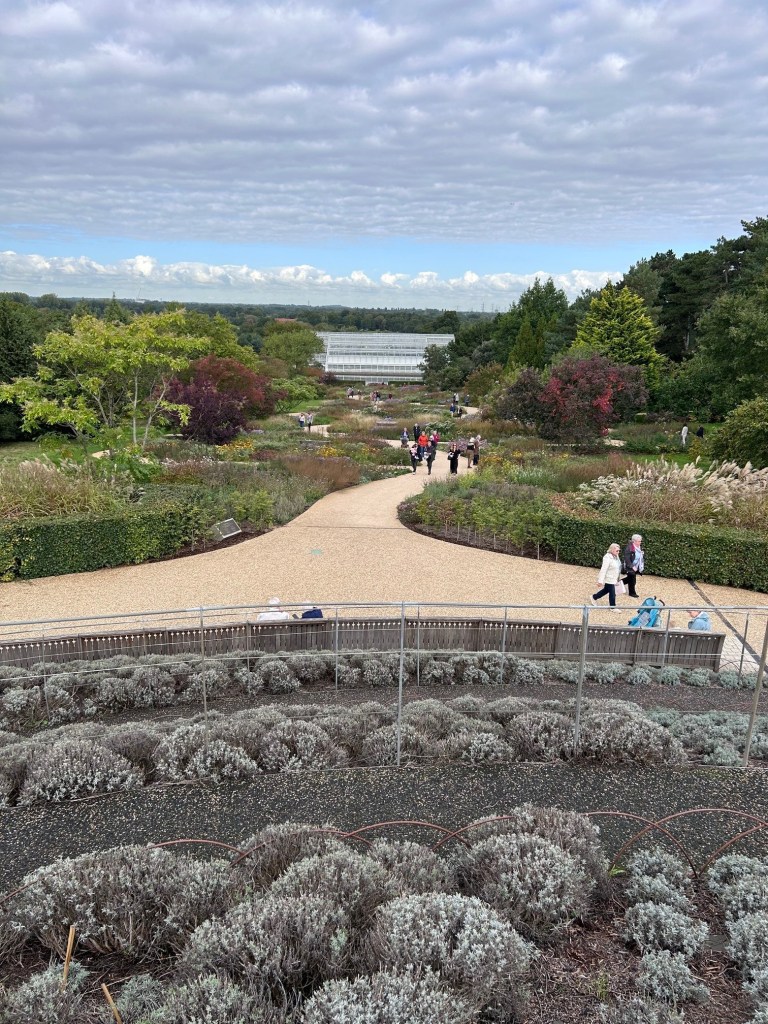 Piet Oudolf garden at Wisley