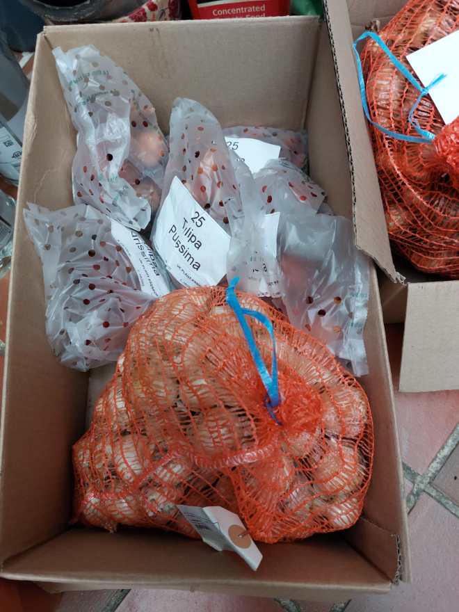 Ventilate those bulbs in a cool airy space