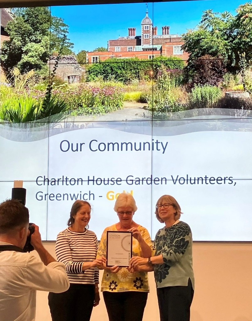 Kathy & Stella receiving award