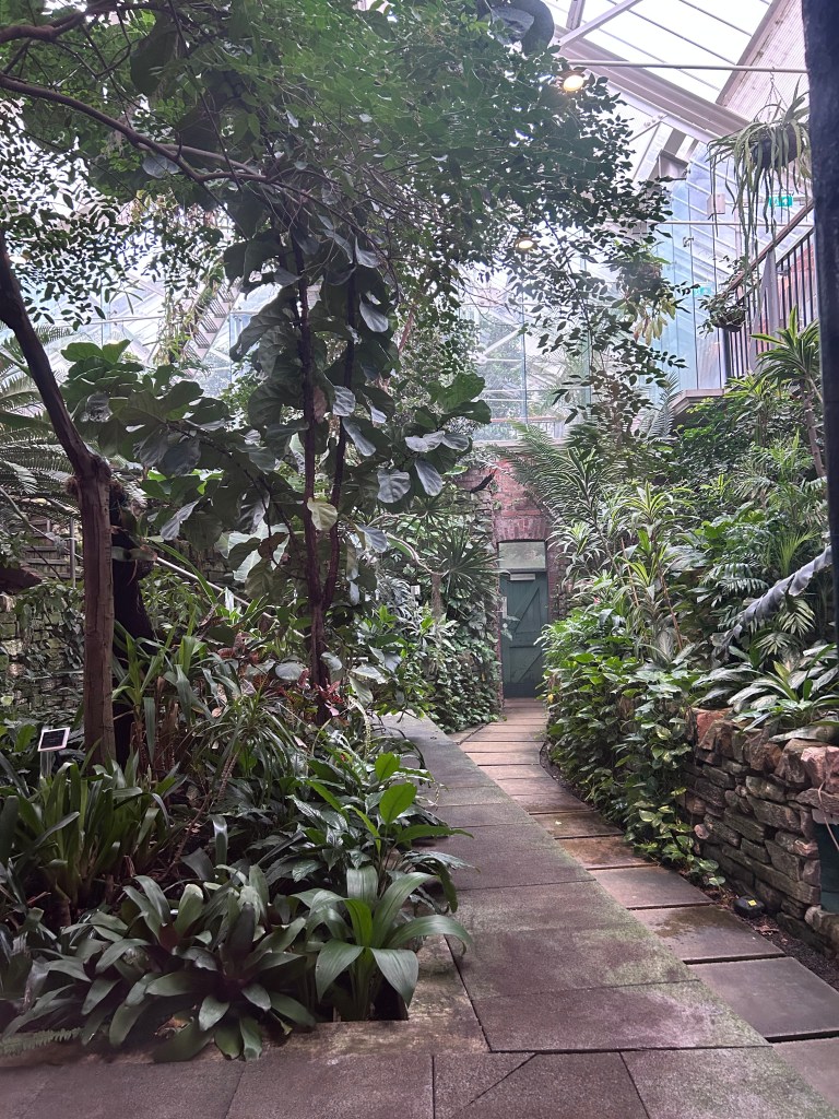 The Ravine, tropical planting