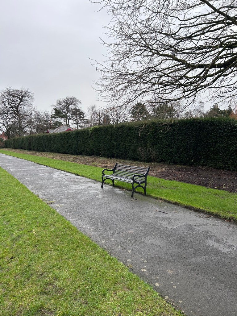 Empty beds in the border