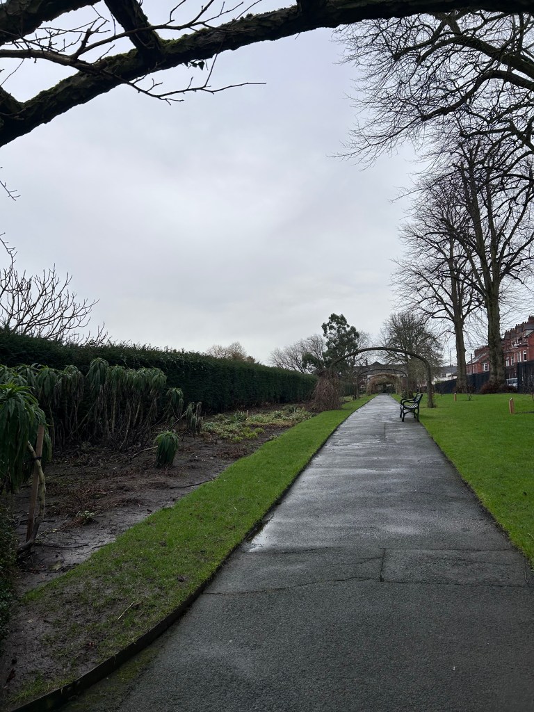 Herbaceous Border in winter