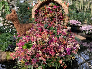 Cornucopia with overflowing orchids