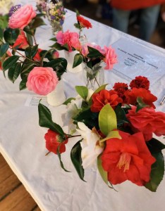 Class 5: Camellias, Rhododendrons, Azaleas or Magnolias CABAHS Spring Show 2025