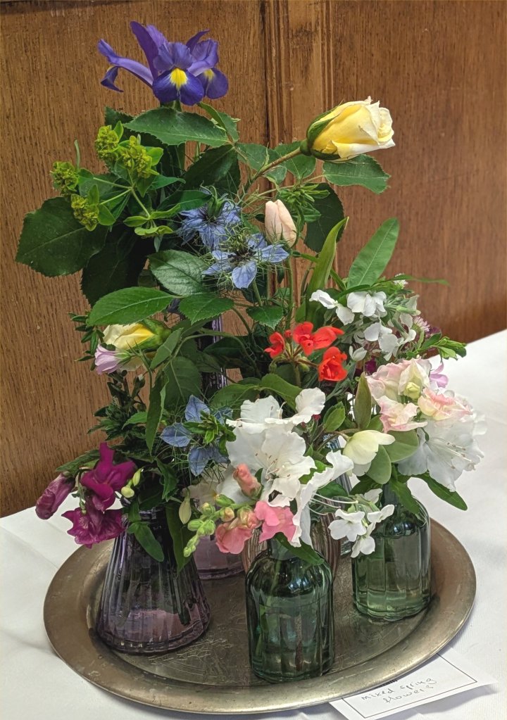 'Mixed Spring Flowers' on the CABAHS Show Table, May 2025