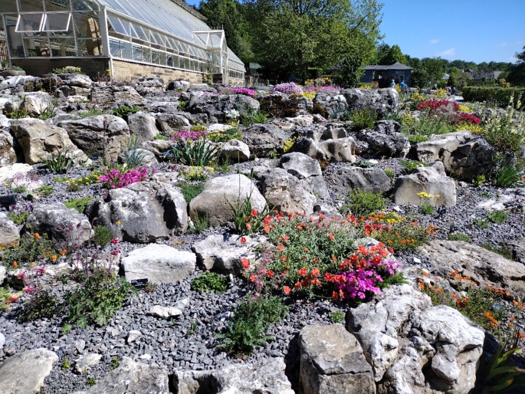 Alpine area, RHS Harlow Carr, May 2025
