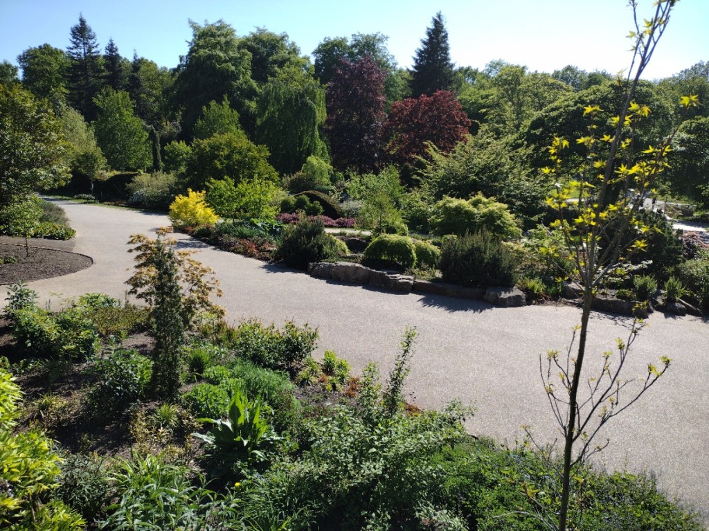 View from Betty's Tearoom, RHS Harlow Carr, May 2025