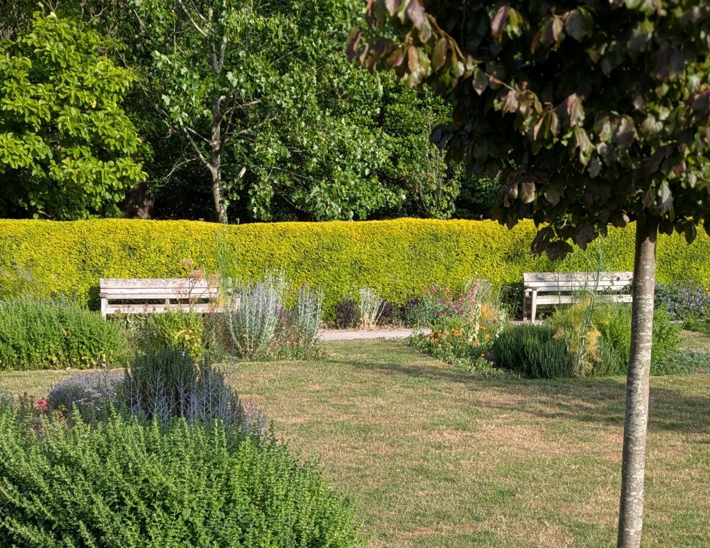 Garden at Beckenham Place Park, June 2025