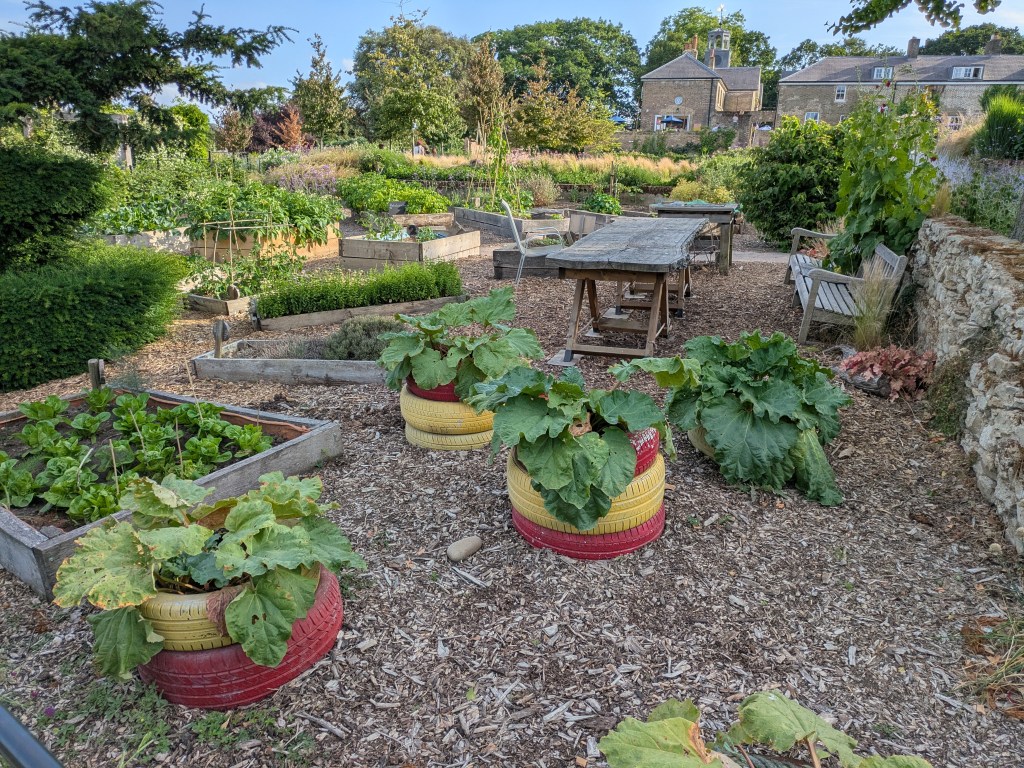Community Garden at Beckenham Place Park, June 2025
