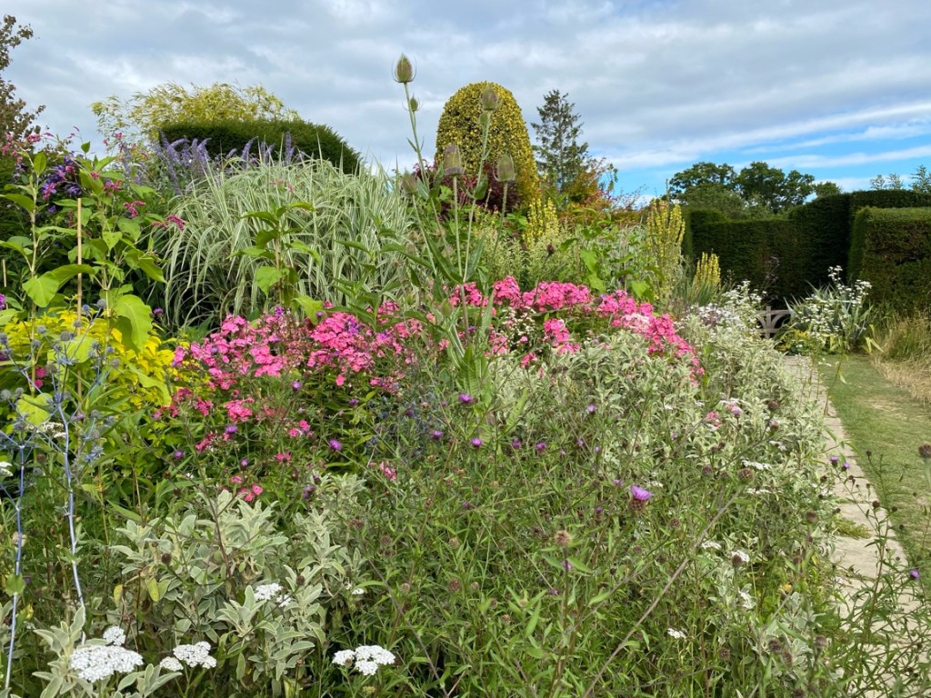 The Long Border with Phlox (again), Salvia, Persicaria and Miscanthus. Great Dixter, July 2025