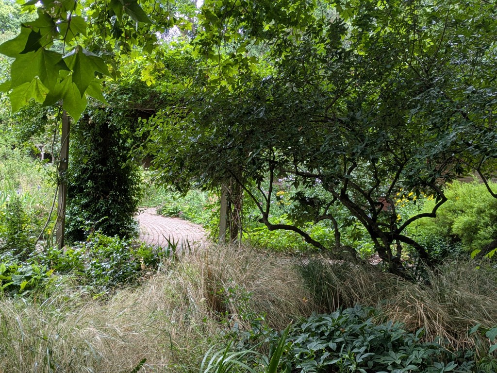 Old English Garden. Battersea Park, July 2025