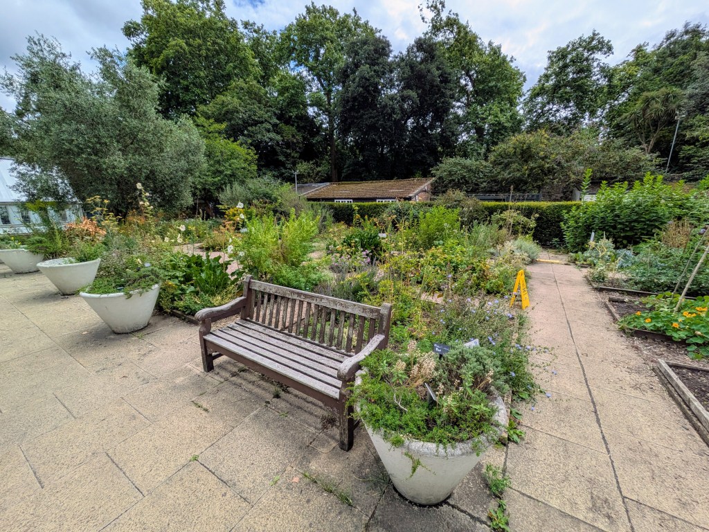 Thrive Herb Garden, Battersea Park, July 2025