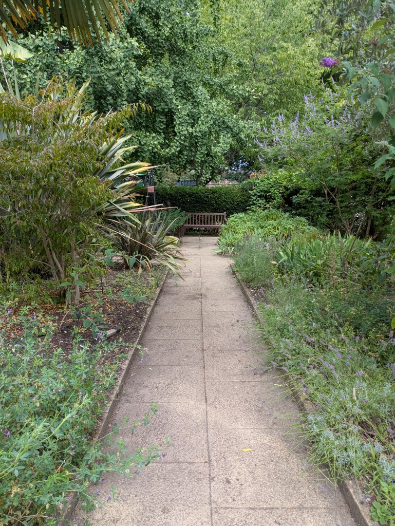 A peaceful spot. Thrive Herb Garden, Battersea Park, July 2025