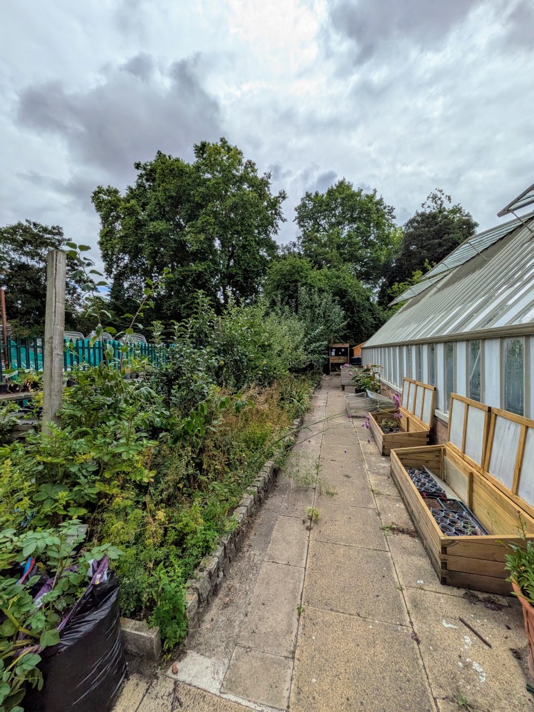 Glasshouse and fruit trees. Thrive Herb Garden, Battersea Park, July 2025